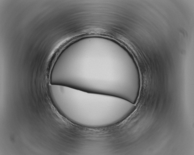 X0000112931115200908241047