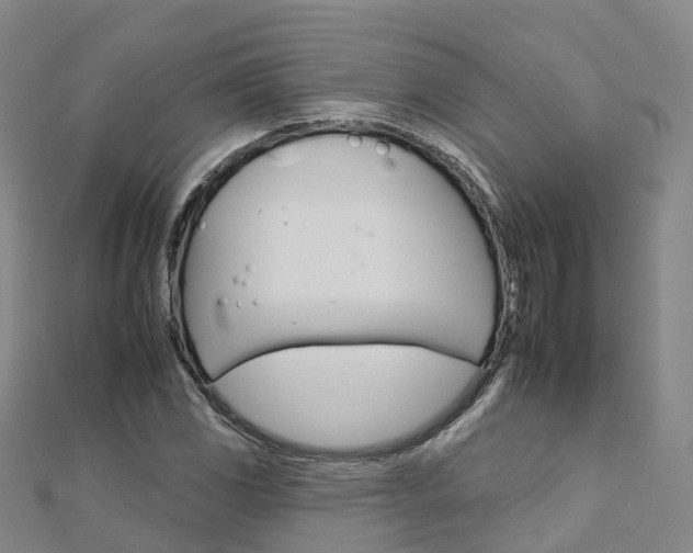 X0000112931117200908241047