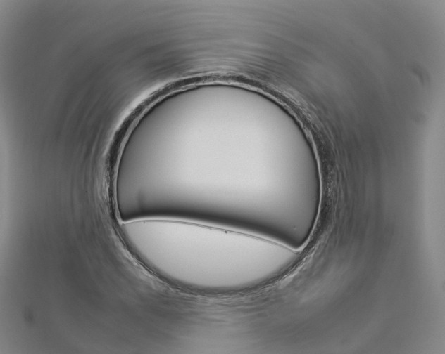 X0000112931118200908241047