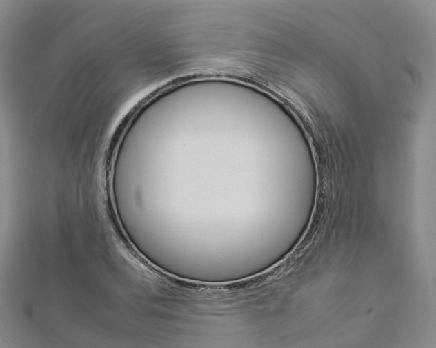 X0000112931120200908241048