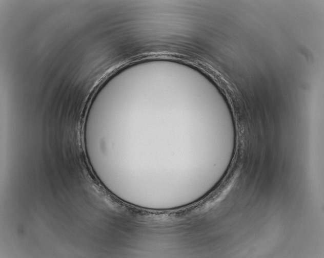 X0000112931121200908241048