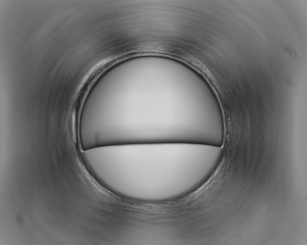 X0000112931123200908241048