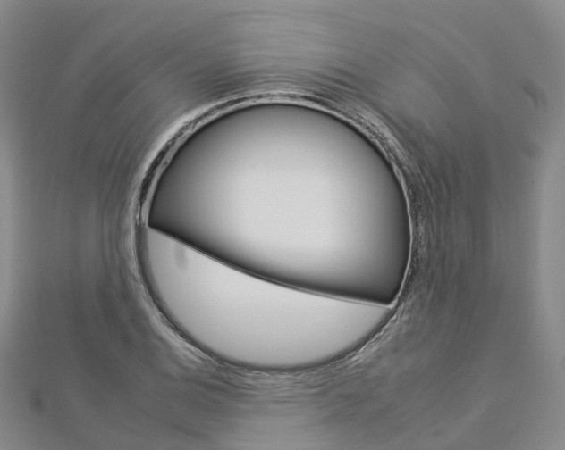 X0000112931124200908241048