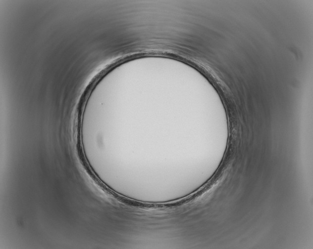 X0000112931126200908241048