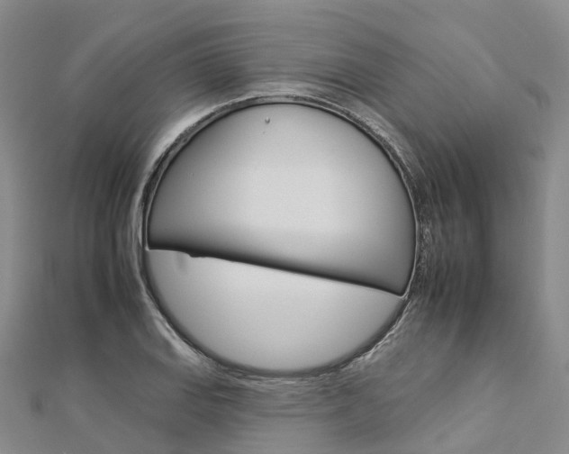 X0000112931127200908241048