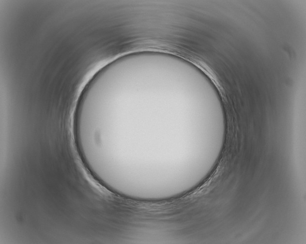 X0000112931128200908241048