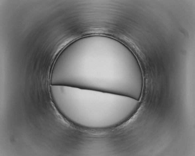 X0000112931129200908241048