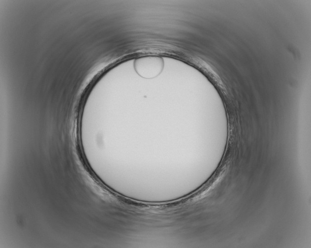 X0000112931130200908241048