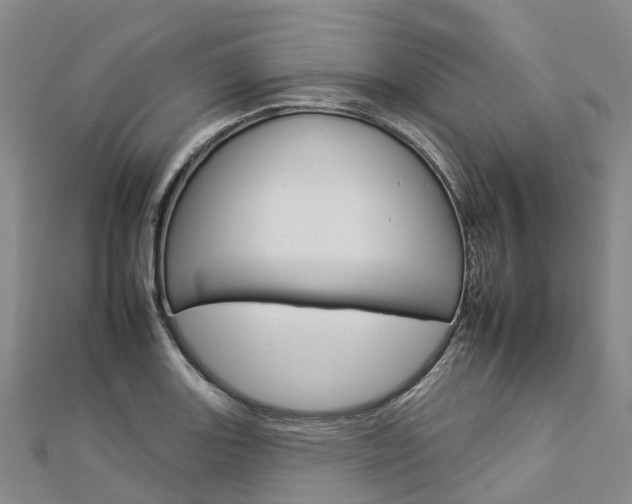 X0000112931131200908241048