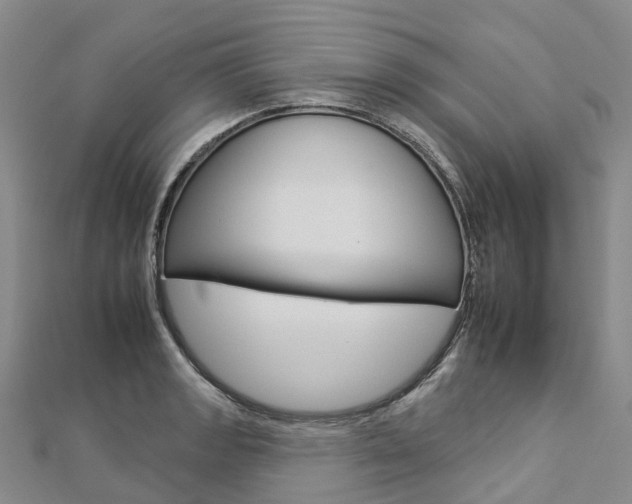 X0000112931133200908241048