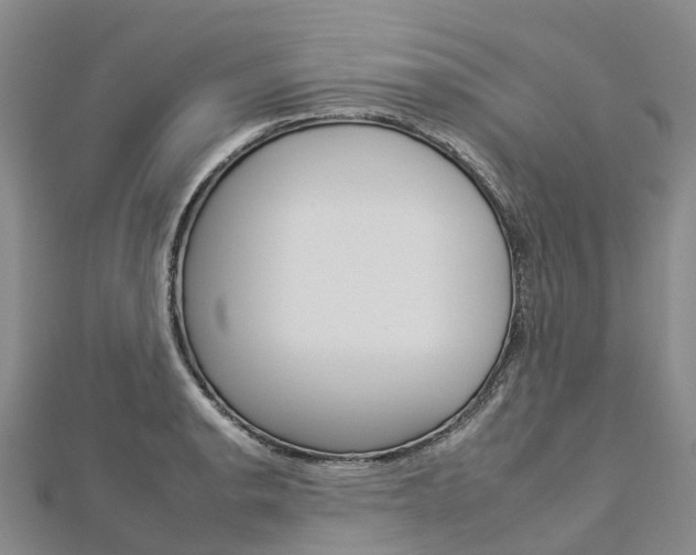 X0000112931134200908241048