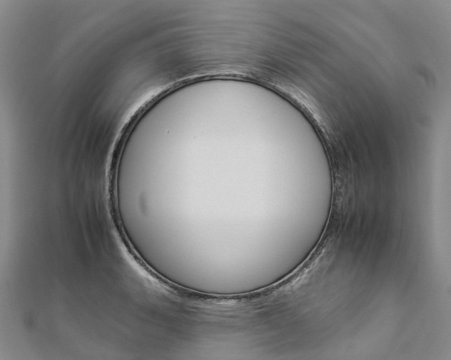 X0000112931135200908241048
