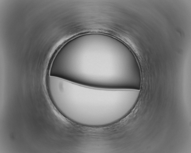 X0000112931136200908241048