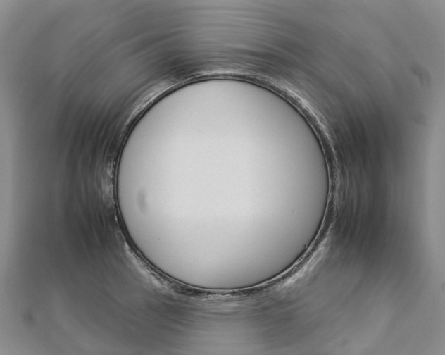 X0000112931137200908241048