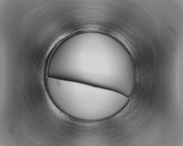 X0000112931139200908241048