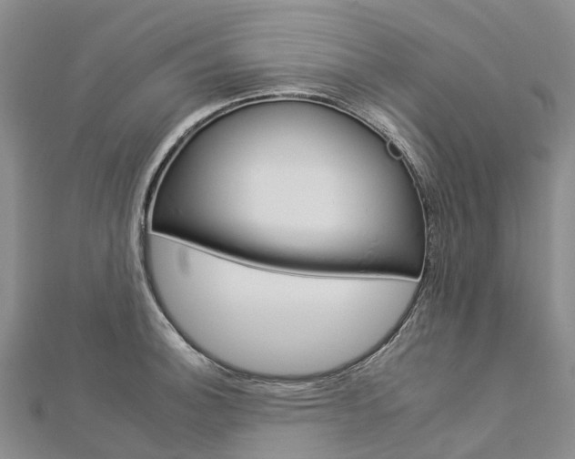 X0000112931140200908241048