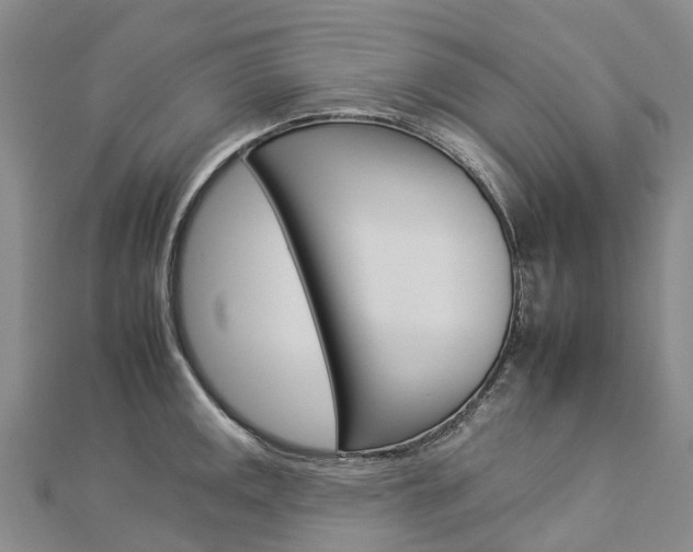 X0000112931141200908241048