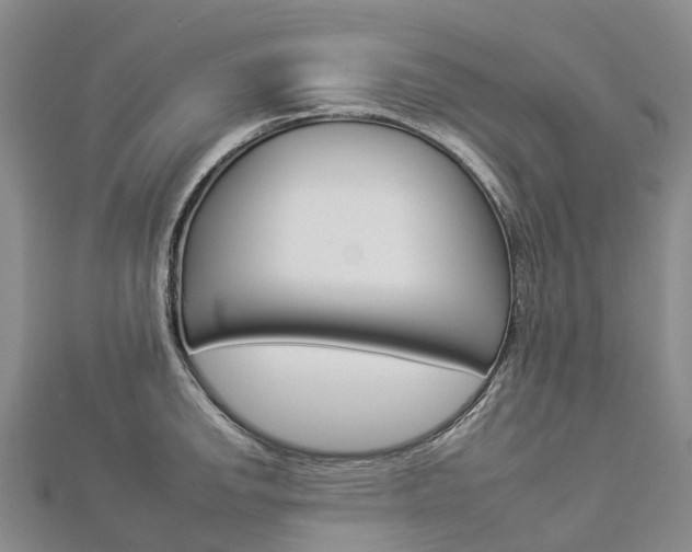 X0000112931142200908241048