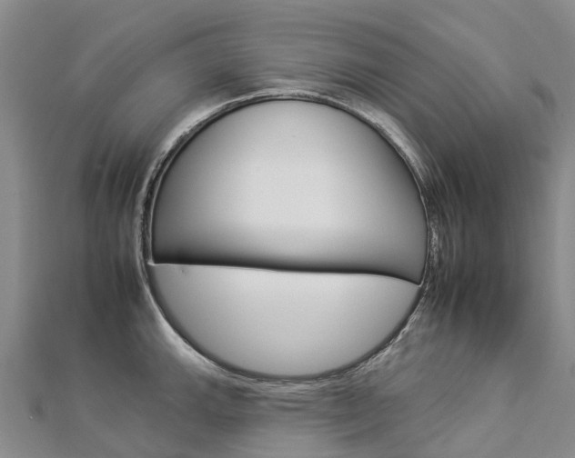 X0000112931143200908241048