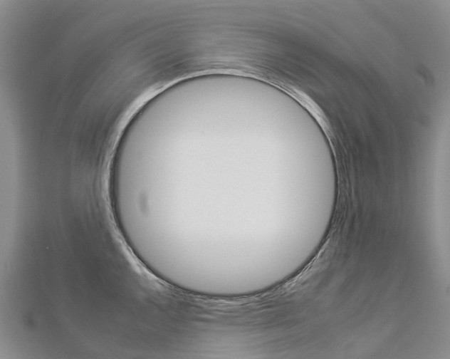 X0000112931144200908241048