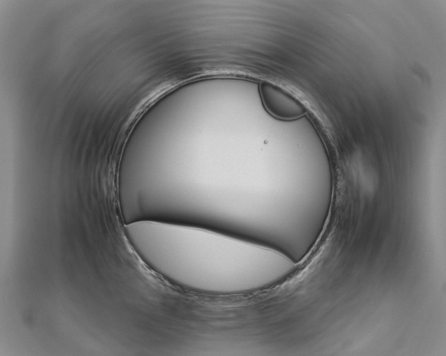 X0000112931145200908241048