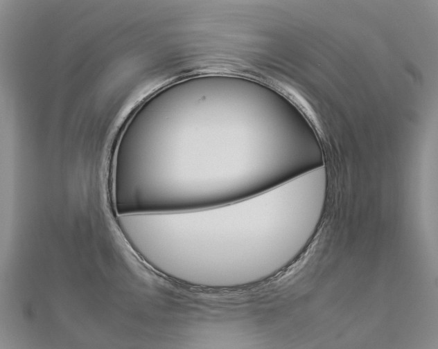 X0000112931146200908241048