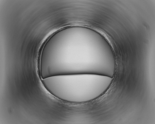 X0000112931147200908241048