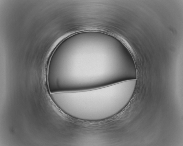 X0000112931148200908241048