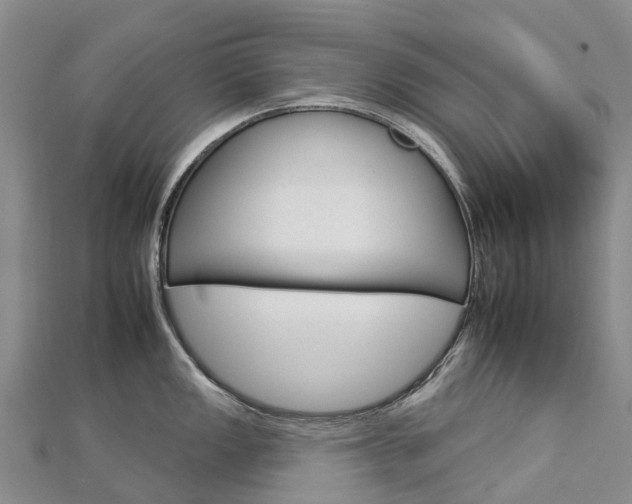 X0000112931149200908241048