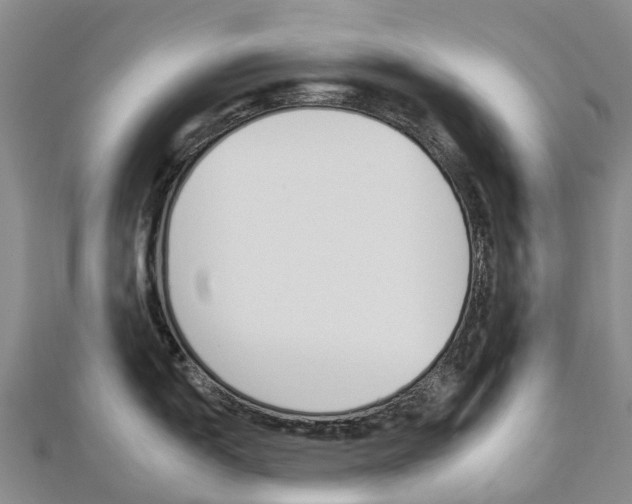 X0000112931150200908241048