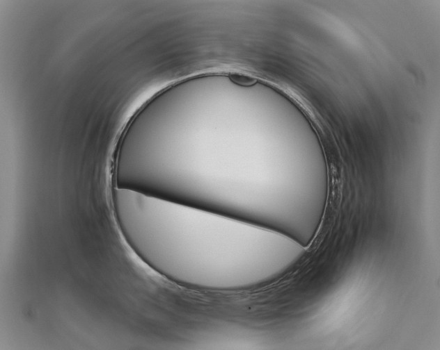 X0000112931151200908241048