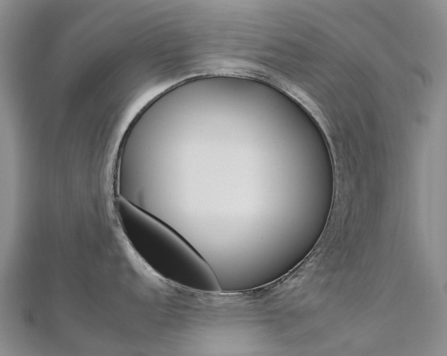 X0000112931152200908241048