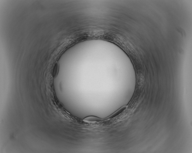 X0000112931153200908241047