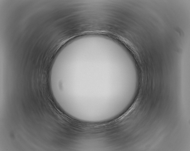 X0000112931161200908241047