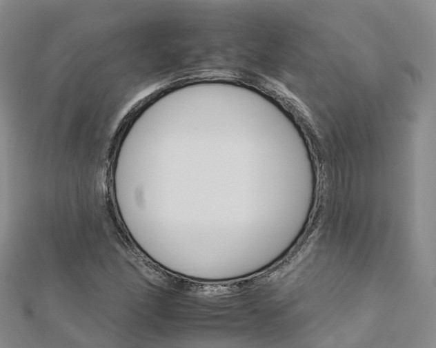 X0000112931166200908241047