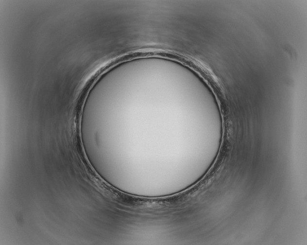 X0000112931167200908241047