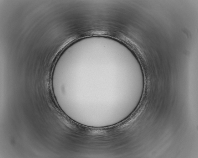 X0000112931170200908241047