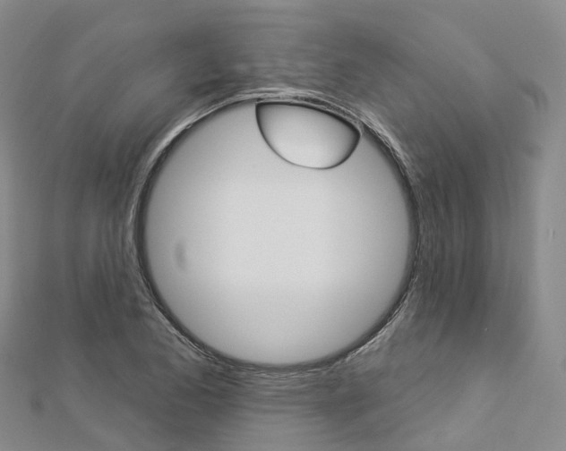 X0000112931173200908241047