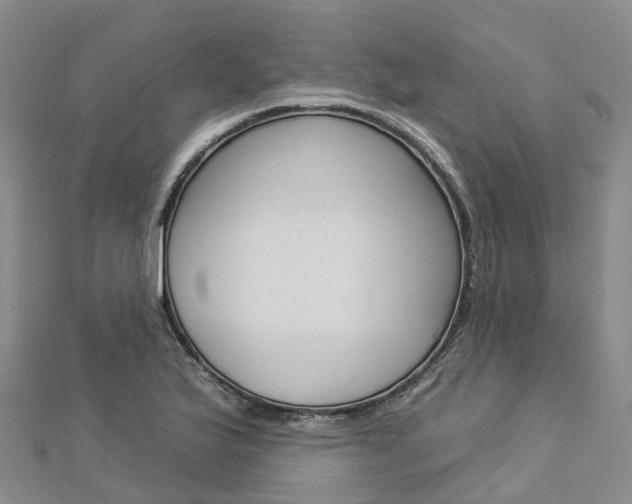 X0000112931175200908241047