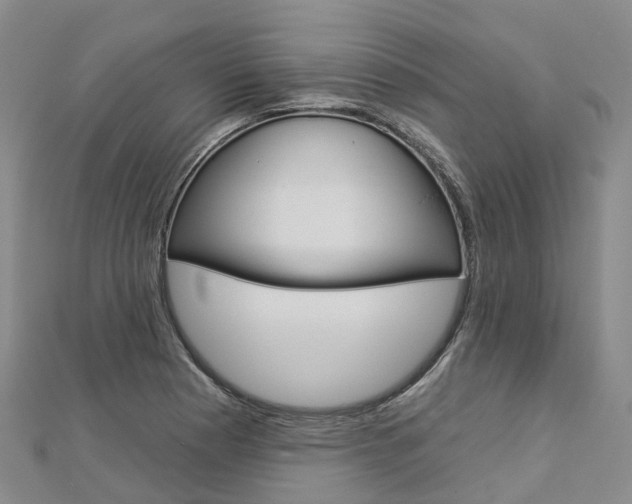 X0000112931177200908241047