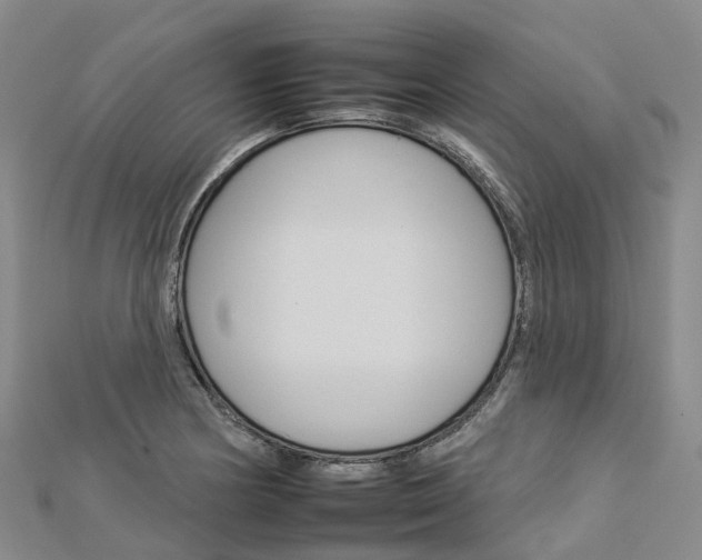 X0000112931178200908241047