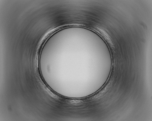 X0000112931180200908241047
