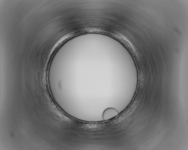 X0000112931182200908241047