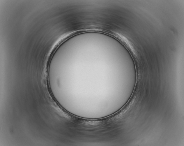 X0000112931184200908241047