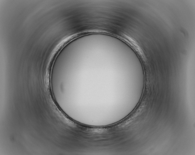 X0000112931188200908241047