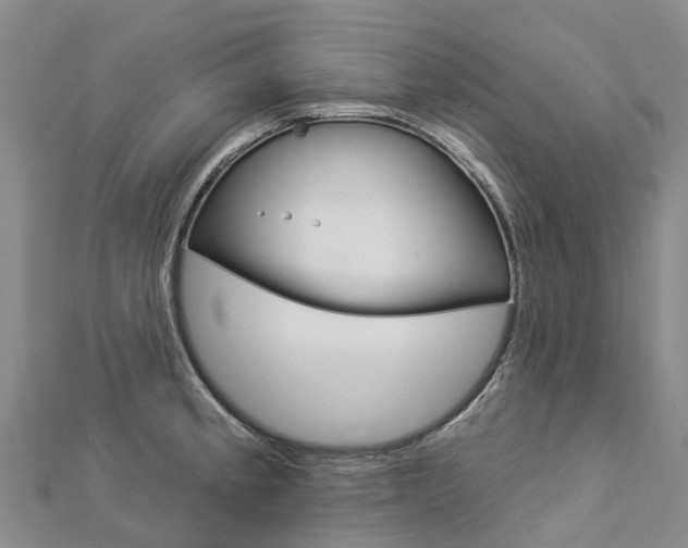X0000112931189200908241047