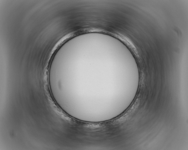 X0000112931190200908241047