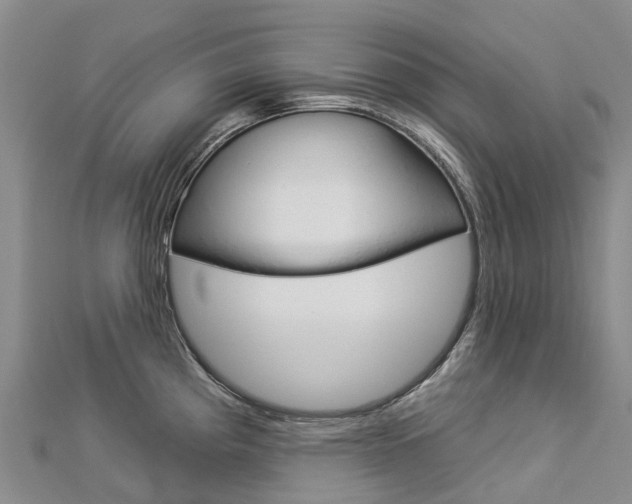 X0000112931193200908241047