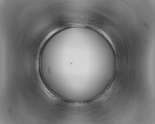 X0000112931195200908241047