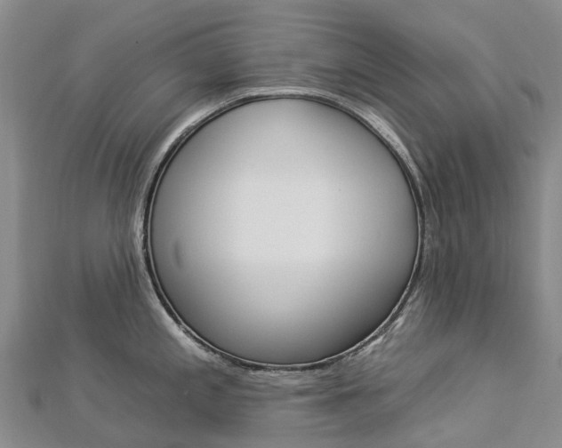 X0000112931197200908241047